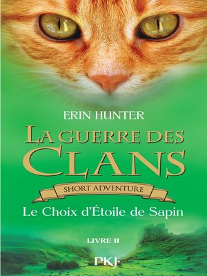 cover image of Le Choix d'étoile de sapin
